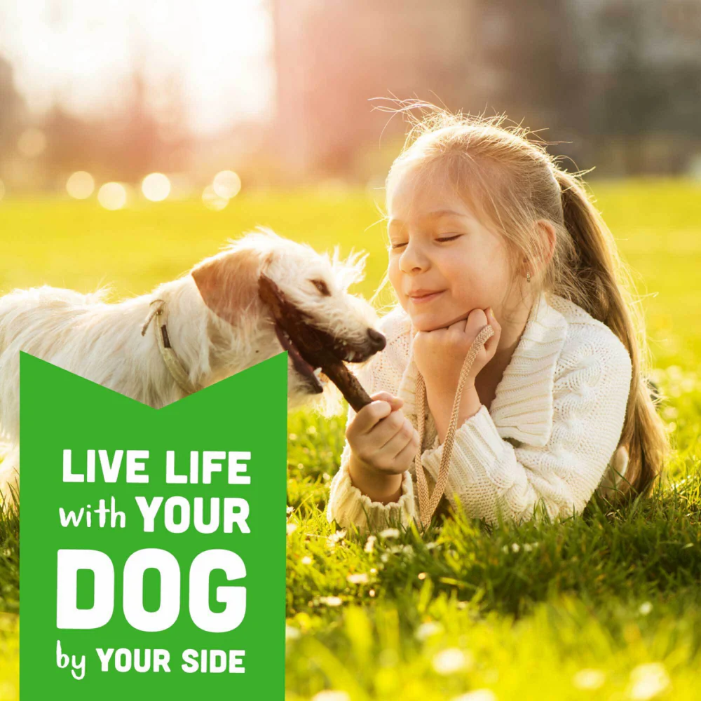 Cloud Star Wag More Bark Less Soft Chews Grain Free Chicken & Sweet Potato Dog Treats - Image 8