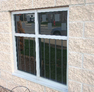 CollidEscape Bird Tape - Image 3