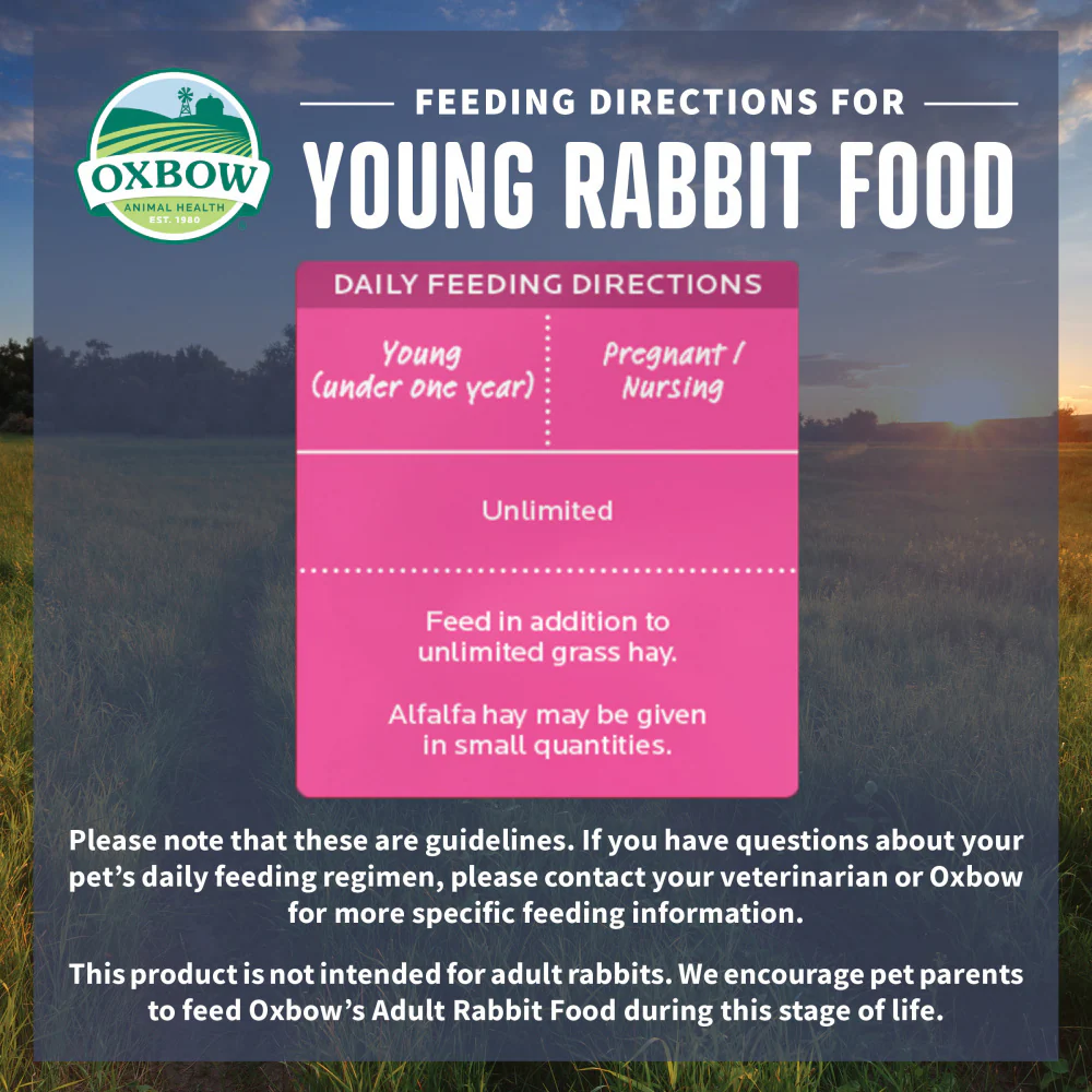 Oxbow Animal Health Essentials Young Rabbit Food All Natural Rabbit Pellets - Image 5