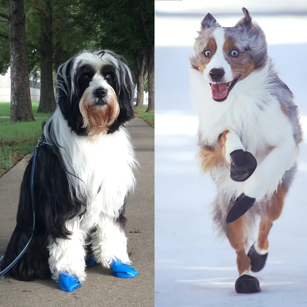 Pawz Black Dog Boots - Image 11