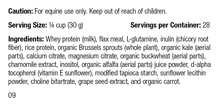 Equine GI Support, 30 oz (850 g) - Image 2