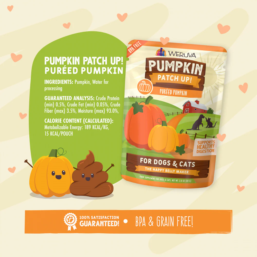Weruva Pumpkin Patch Up Supplement for Dogs & Cats - Image 11