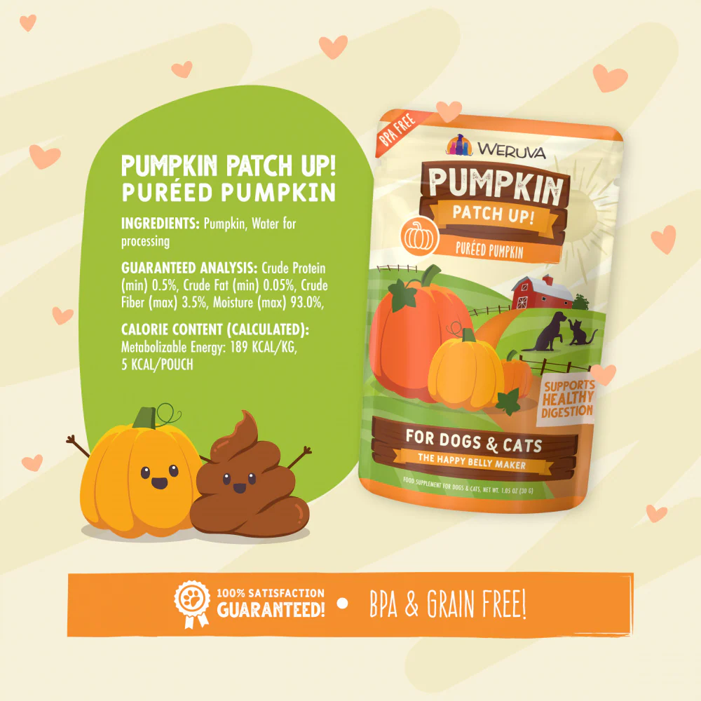Weruva Pumpkin Patch Up Supplement for Dogs & Cats - Image 6